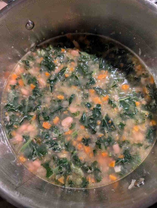 chicken noodle soups